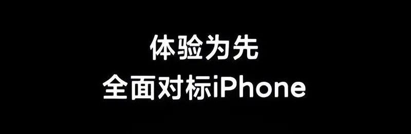 当苹果折叠屏遇上钱包:普通用户的真实抉择 手机评测