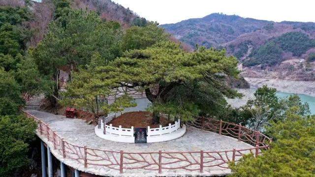 【红色文旅深度解析】夹金山:中央红军长征的精神坐标与文旅价值 文化旅游