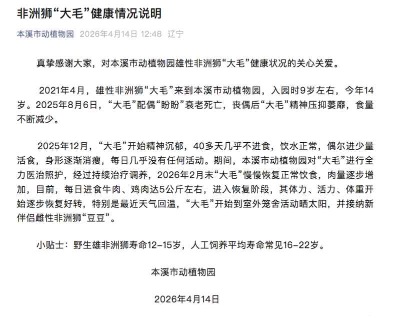 【深度解析】从行为学视角审视平顶山动物园狼群“作揖”现象:刻板行为还是生存本能? 新闻 【深度解析】从行为学视角审视平顶山动物园狼群“作揖”现象:刻板行为还是生存本能? 新闻 【深度解析】从行为学视角审视平顶山动物园狼群“作揖”现象:刻板行为还是生存本能? 新闻