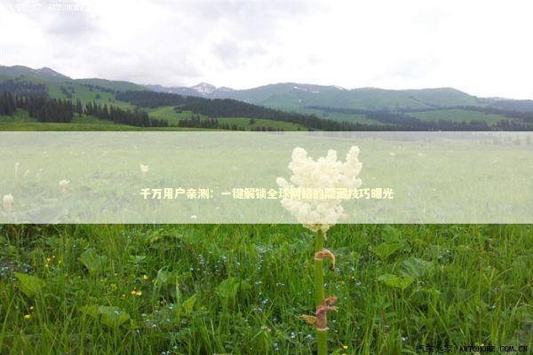 千万用户亲测：一键解锁全球网络的隐藏技巧曝光