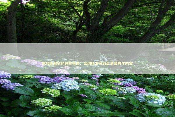 游戏收藏家的进阶指南：如何精准获取高质量数字内容